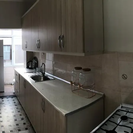 Enormous Duplex Flat On Main Street, Great View